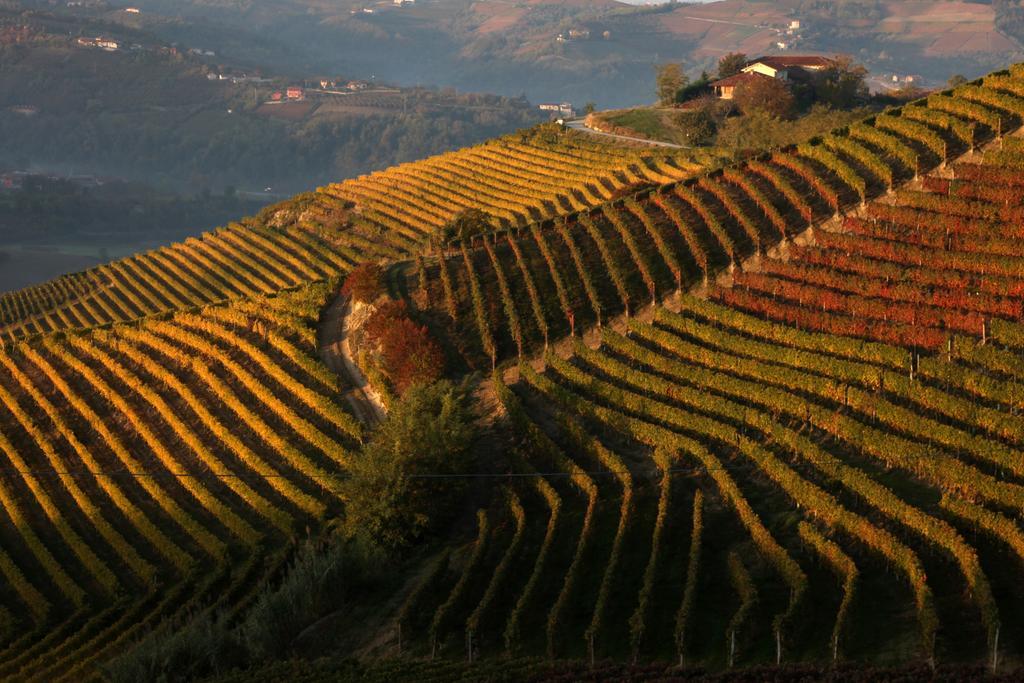 Albergo Castiglione Langhe Castiglione Tinella Bagian luar foto